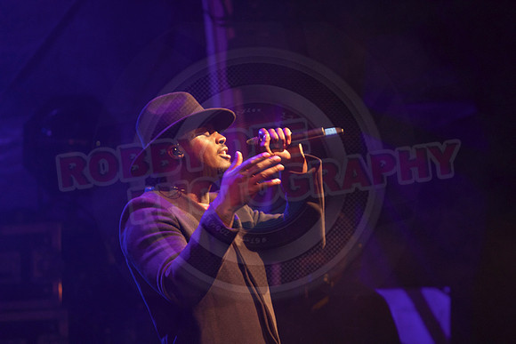 All digital download photos are available for purchase without watermarks