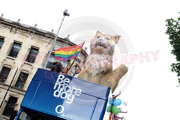 All digital download photos are available for purchase without watermarks