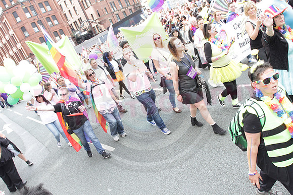 All digital download photos are available for purchase without watermarks