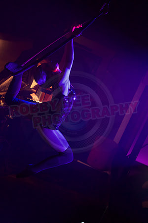 All digital download photos are available for purchase without watermarks