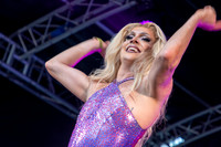 Elektra Fence Essex Pride 2023