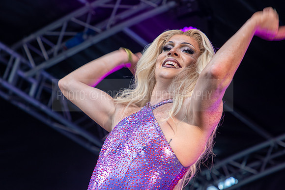 Elektra Fence Essex Pride 2023