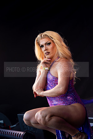 Elektra Fence Essex Pride 2023