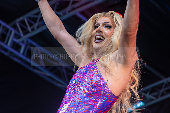 Elektra Fence Essex Pride 2023