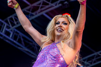 Elektra Fence Essex Pride 2023