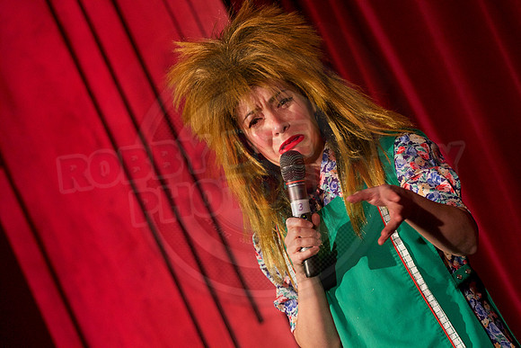 Cabaret Carousel Chrismas Show