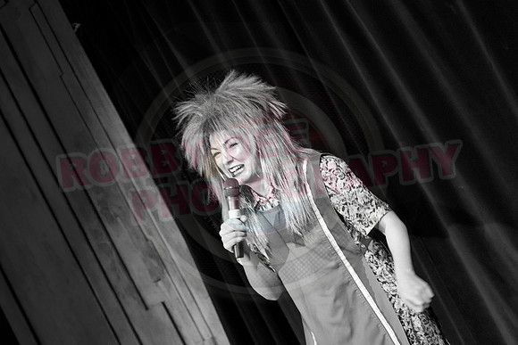 Cabaret Carousel Chrismas Show