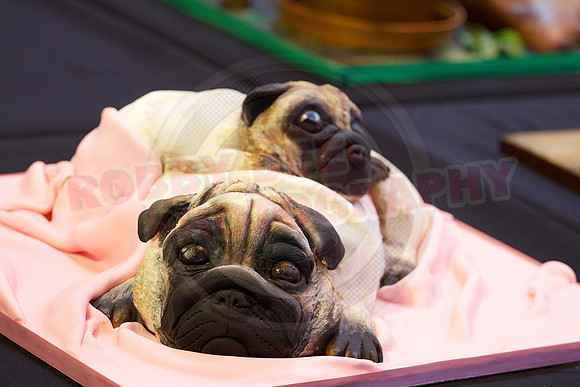 Cake International November 2016 NEC Birmingham