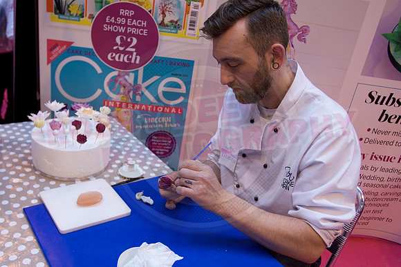 Cake International Spring Birmingham NEC
