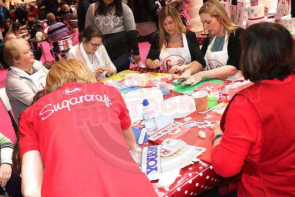 Cake International Spring Birmingham NEC