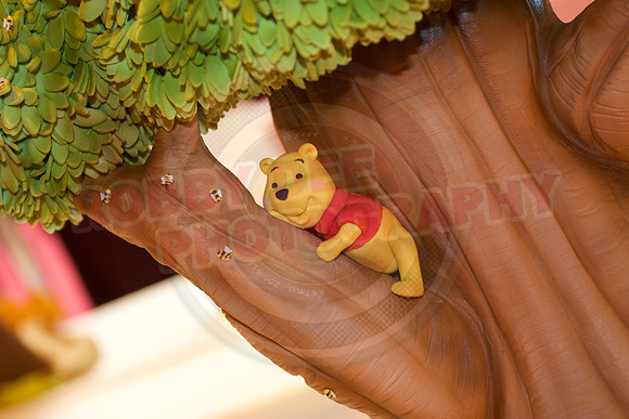 Cake International Spring Birmingham NEC