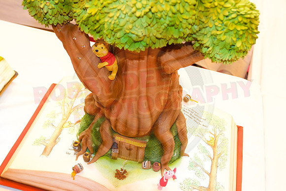Cake International Spring Birmingham NEC