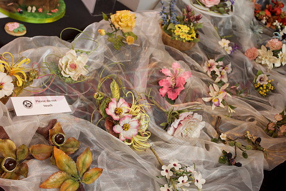 Cake International Spring Birmingham NEC