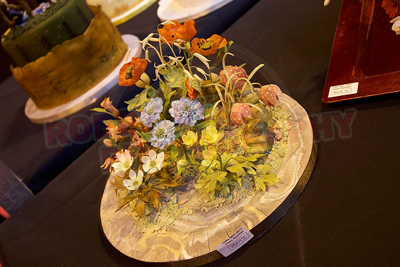 Rosette Winners