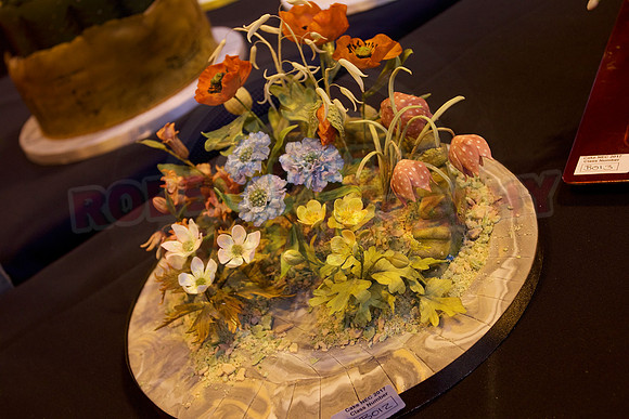 Rosette Winners