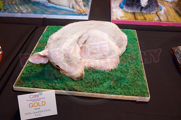 Cake International Gold Silver and bronze