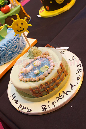 Cake International Cake Entries and Merit Winners