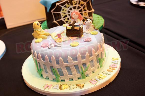 Cake International Cake Entries and Merit Winners