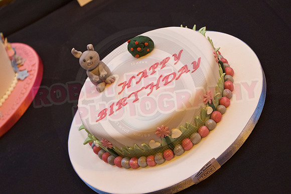 Cake International Cake Entries and Merit Winners