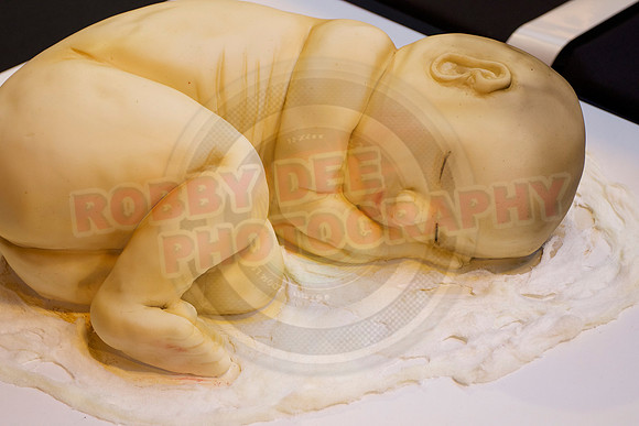 Cake International Cake Entries and Merit Winners