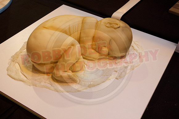 Cake International Cake Entries and Merit Winners