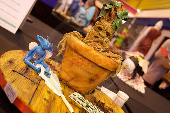 Cake International Cake Entries and Merit Winners