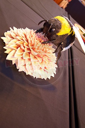 Cake International Cake Entries and Merit Winners