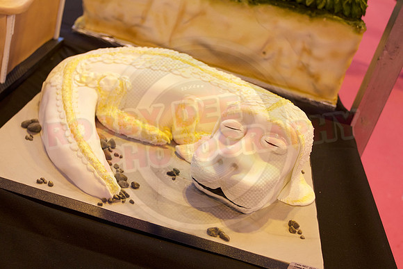 Cake International Cake Entries and Merit Winners