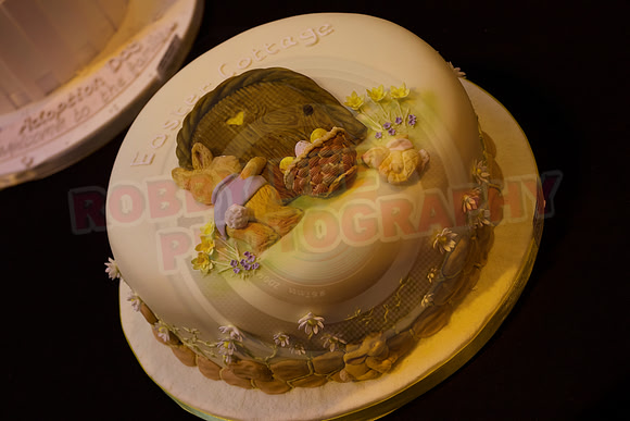 Cake International Cake Entries and Merit Winners