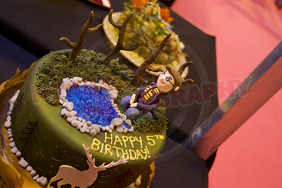 Cake International Cake Entries and Merit Winners