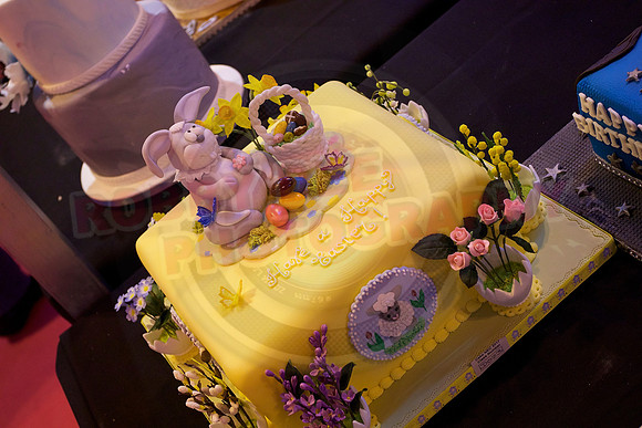 Cake International Cake Entries and Merit Winners