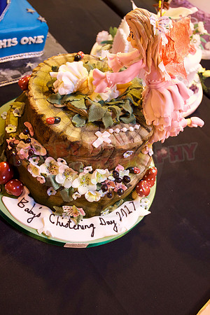 Cake International Cake Entries and Merit Winners