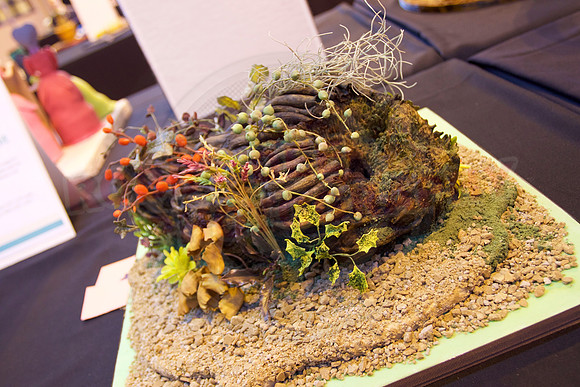 Cake International Cake Entries and Merit Winners