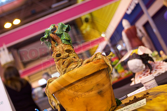 Cake International Cake Entries and Merit Winners