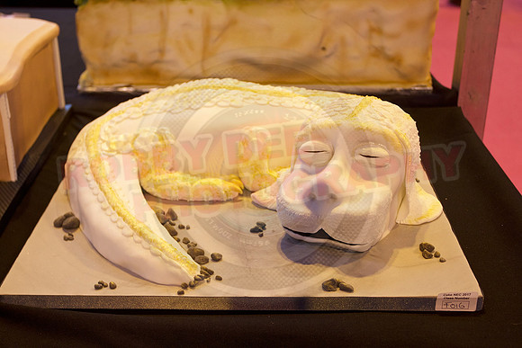Cake International Cake Entries and Merit Winners