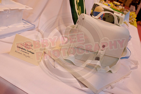 Cake International Cake Entries and Merit Winners