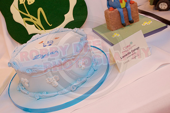 Cake International Cake Entries and Merit Winners