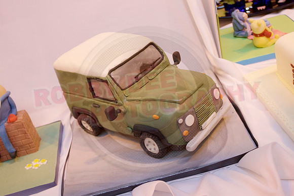 Cake International Cake Entries and Merit Winners