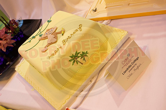 Cake International Cake Entries and Merit Winners