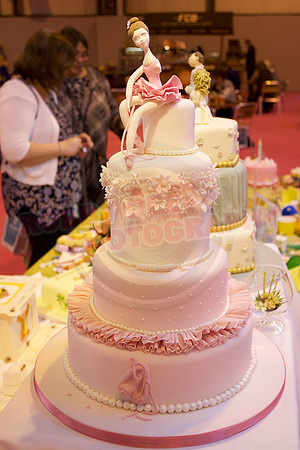 Cake International Cake Entries and Merit Winners