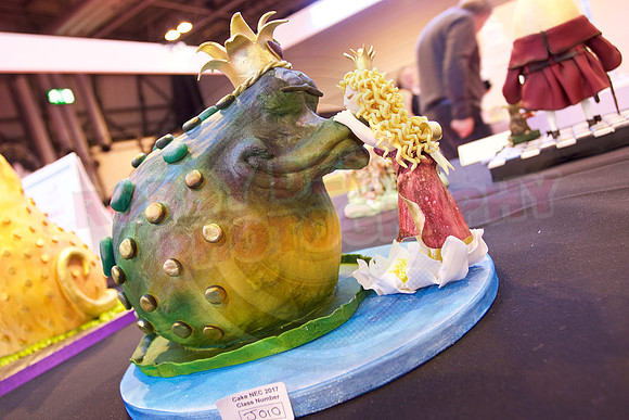 Cake International Cake Entries and Merit Winners