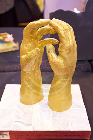 Cake International Cake Entries and Merit Winners