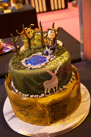 Cake International Cake Entries and Merit Winners