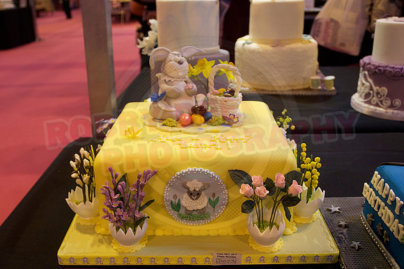 Cake International Cake Entries and Merit Winners