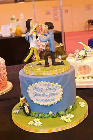 Cake International Cake Entries and Merit Winners