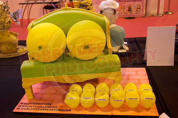 Cake International Cake Entries and Merit Winners