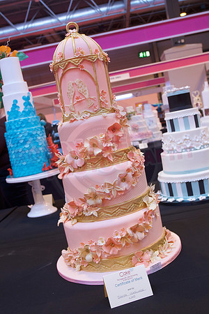 Cake International Cake Entries and Merit Winners