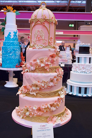 Cake International Cake Entries and Merit Winners