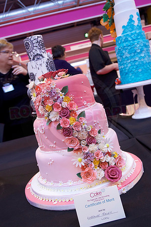 Cake International Cake Entries and Merit Winners
