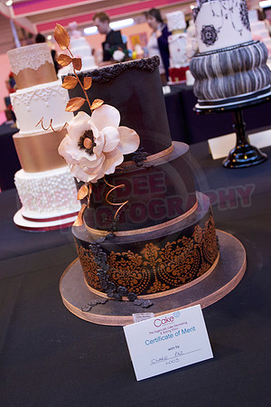 Cake International Cake Entries and Merit Winners